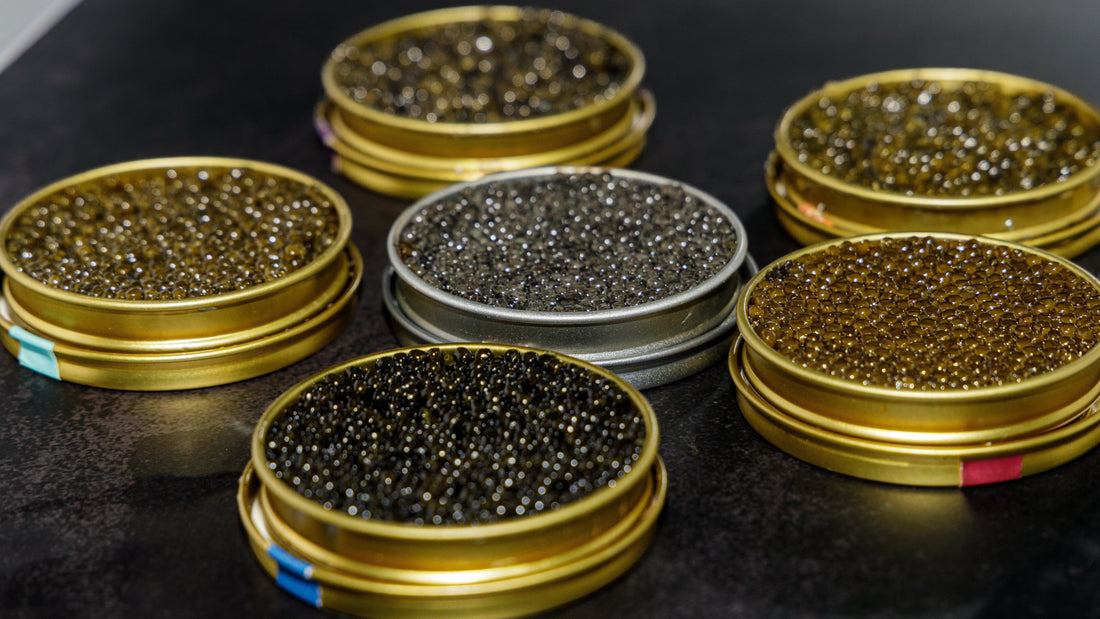 Shades of Luxury: Why Black Caviar Comes in So Many Colors