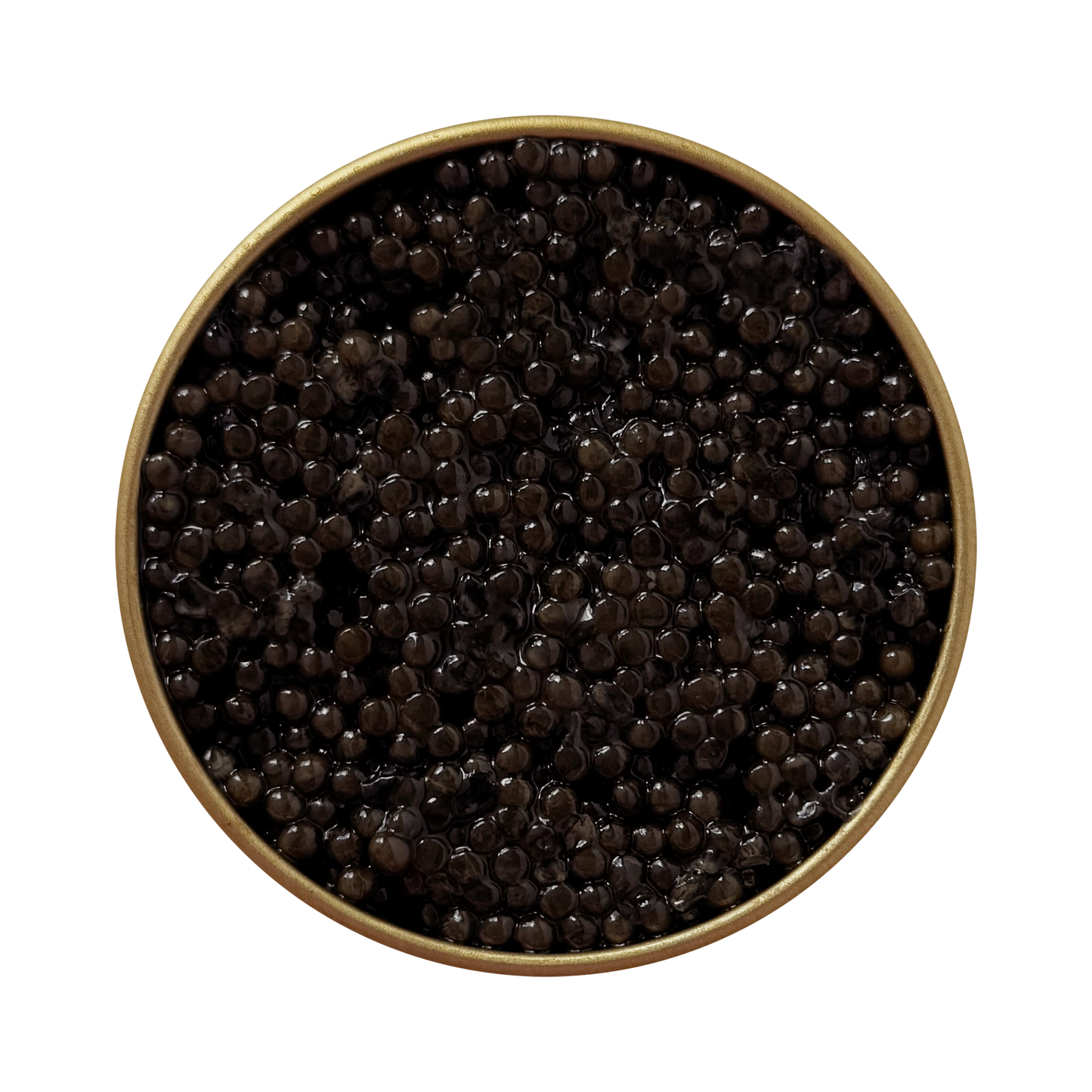 Open jar of Siberian Sturgeon caviar with shiny dark pearls, authentic premium delicacy, Chicago