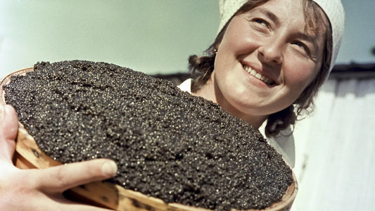 Black Caviar in the Soviet Union: When the World's Luxury Food Was Surprisingly Affordable