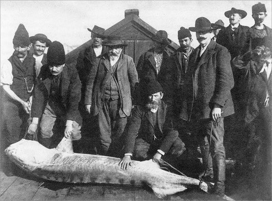 The Fascinating Origin of the Word “Caviar”