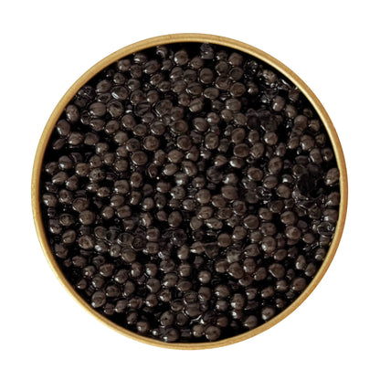 Top view of open Beluga caviar jar showing glossy large pearls