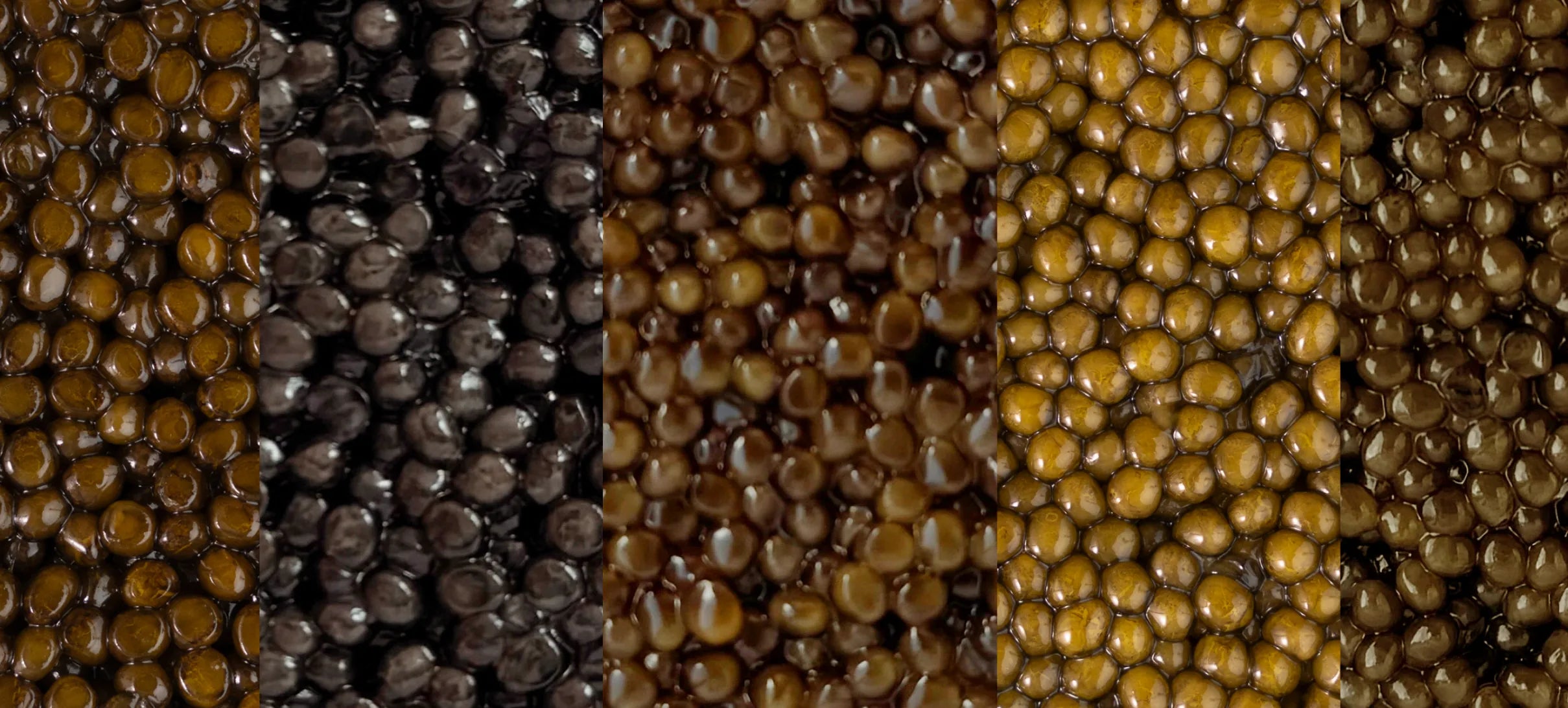 Close-up macro photograph of black caviar pearls with glossy texture
