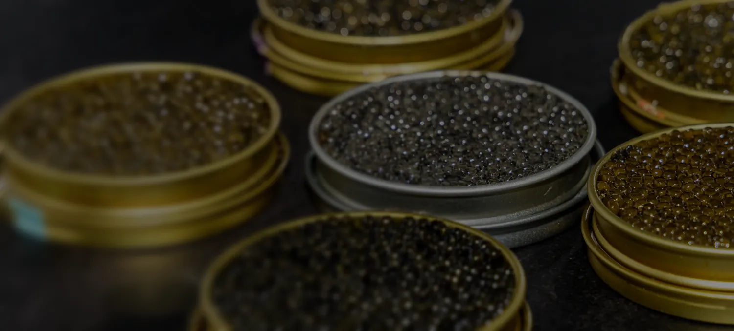Open jars of Black Gold Caviar arranged on a table, showing visible caviar pearls