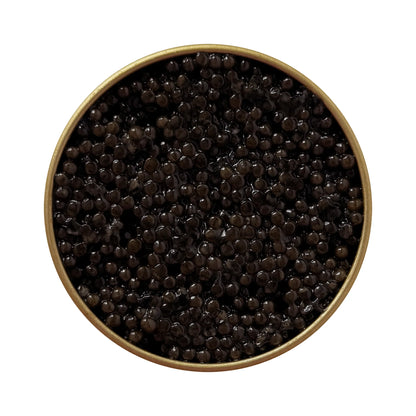 Open jar of Sturgeon caviar with lid next to it
