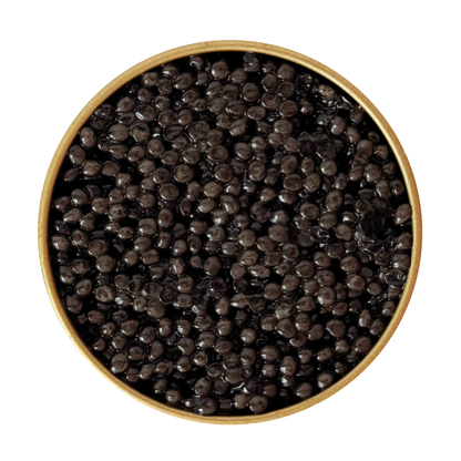 Open jar of Beluga caviar with large shiny black pearls, exclusive luxury delicacy, Chicago