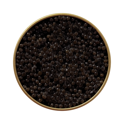 Open jar of Siberian Sturgeon caviar with shiny dark pearls, authentic premium delicacy, Chicago